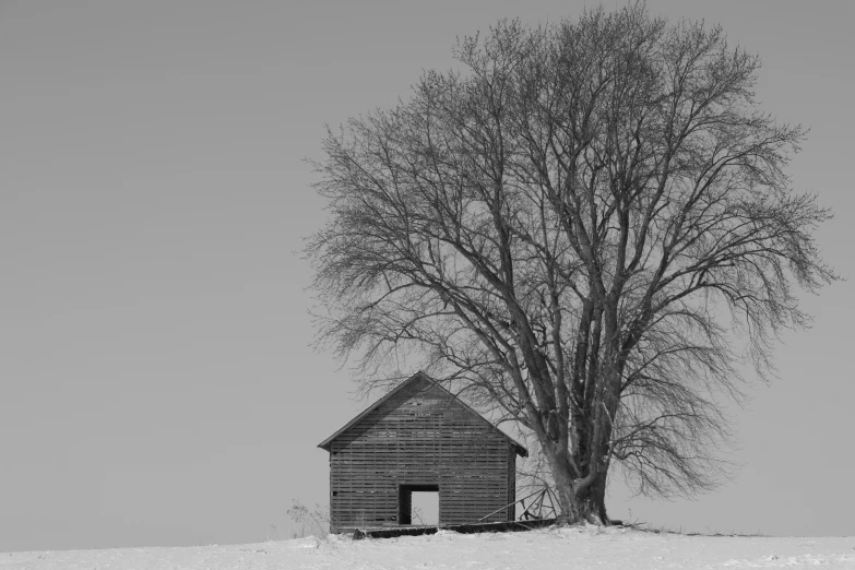an old building sits in a snowy field near a tree