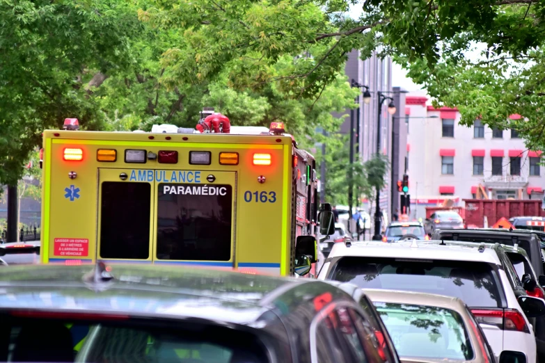 emergency vehicle parked in traffic along street lined with trees