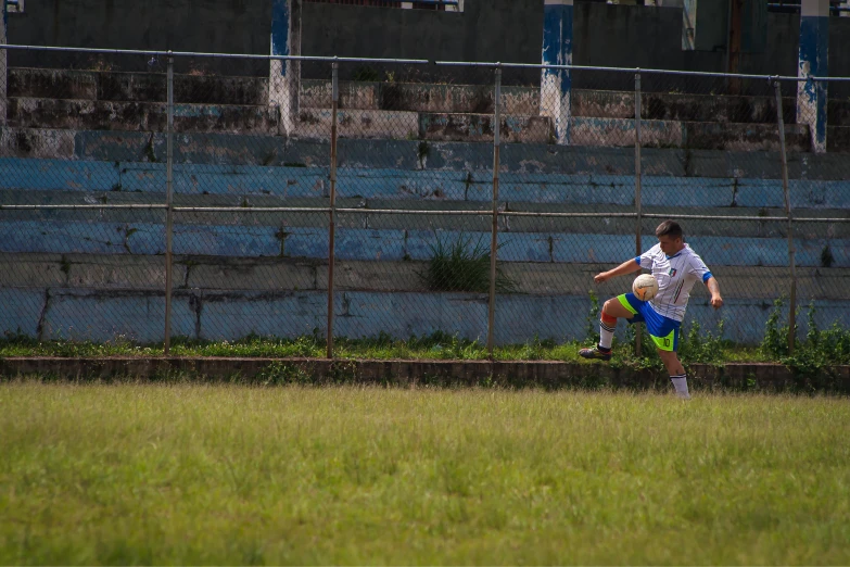 the  is running in the field, with a frisbee