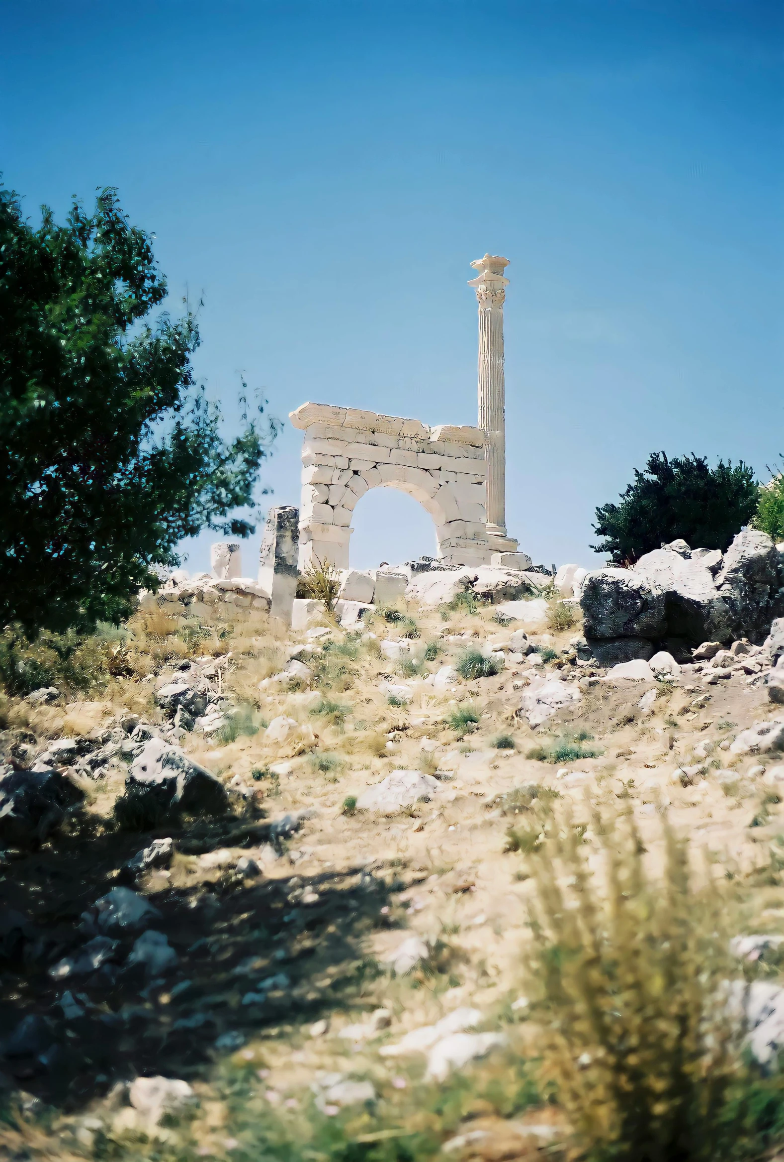 an old ruins on the hillside near a grove of trees