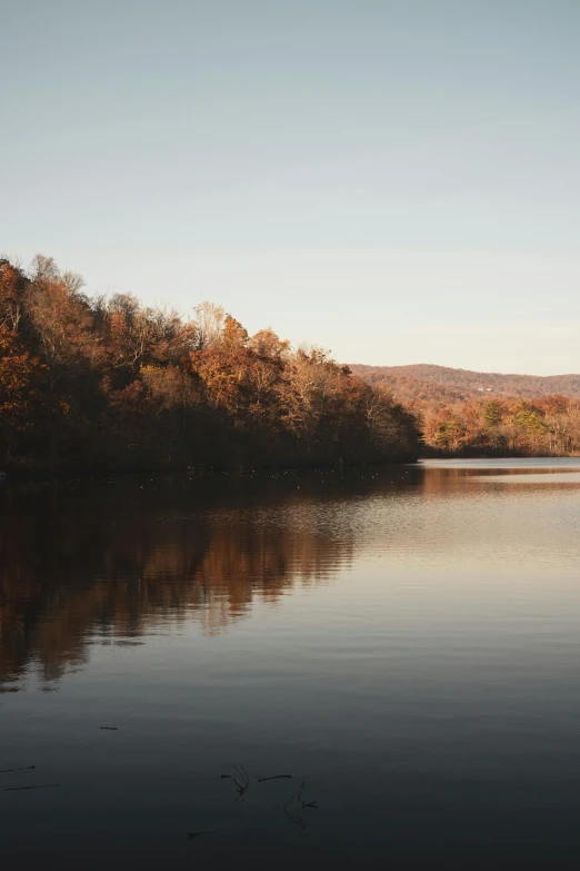 a body of water with some trees in the background