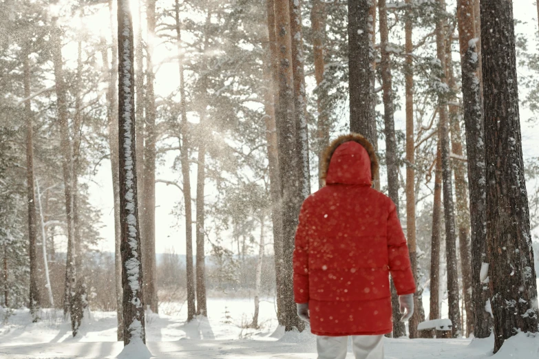 a woman in red jacket standing in snow covered forest