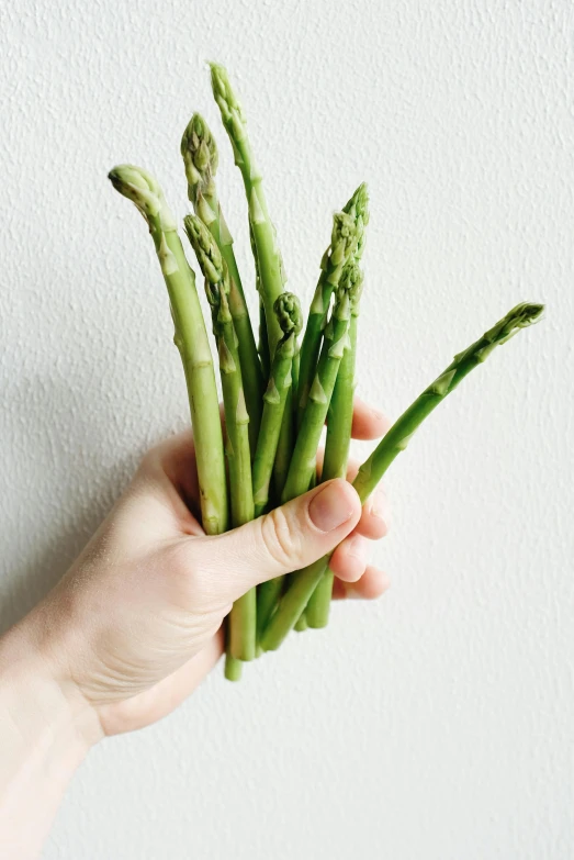 someone holding a bunch of asparagus with stems on each side