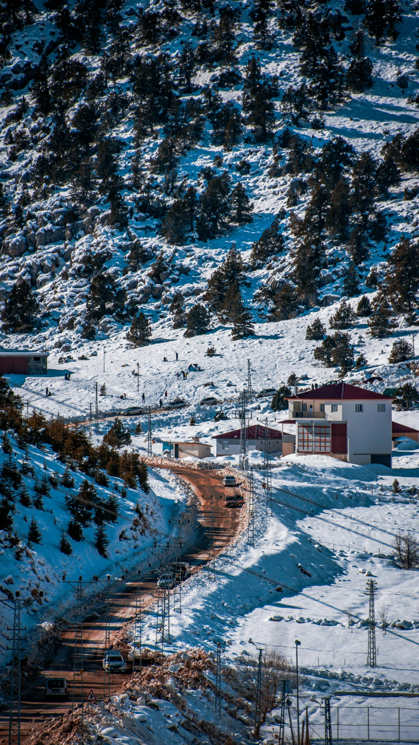 the landscape has snow and trees on the hillside