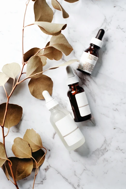 two bottles of skin products and a twig with green leaves