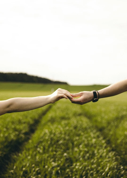 someone holding the hand of another person in a field