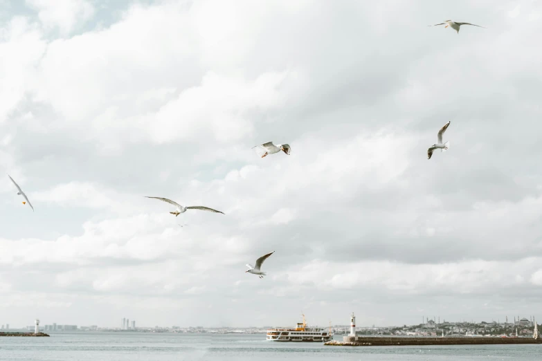 a flock of birds fly over a body of water