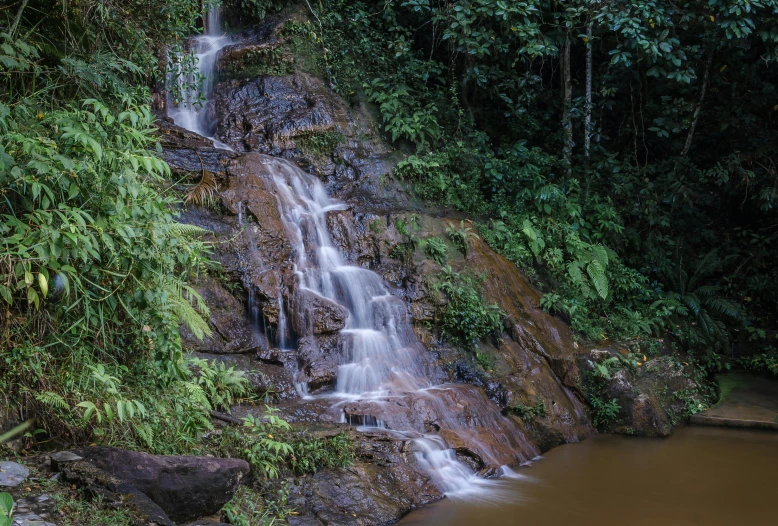 a waterfall in the middle of a green forest