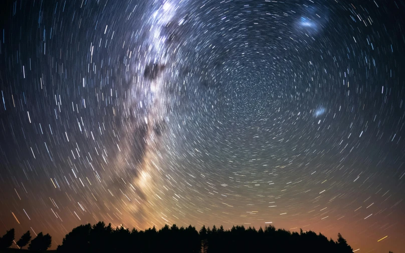 many stars are seen in the sky above the trees