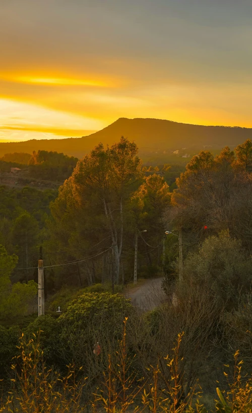 a path going through the forest with mountains in the background