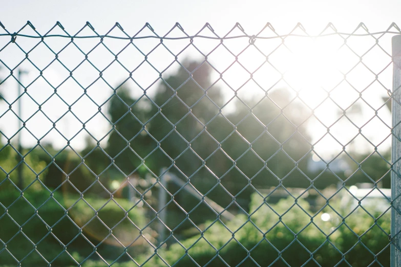 a fence with some trees in the back