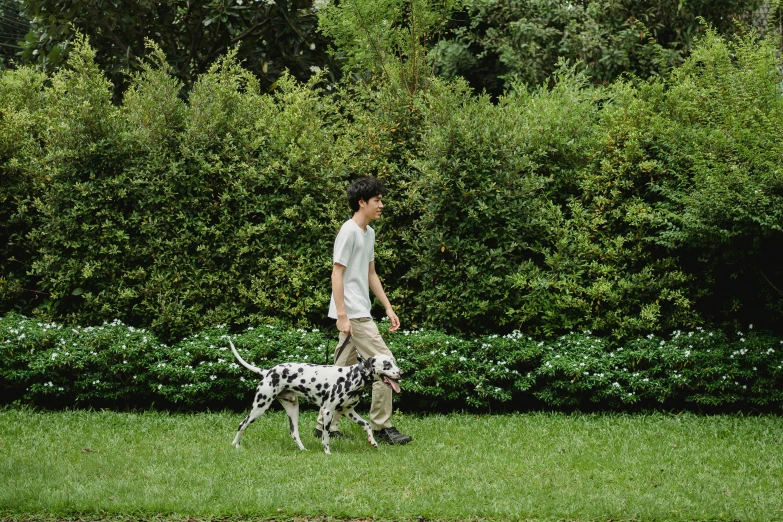 a person that is holding a dog in their hands