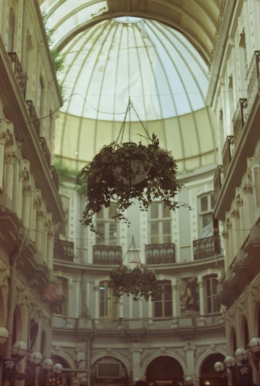 a room with some hanging plants in the middle