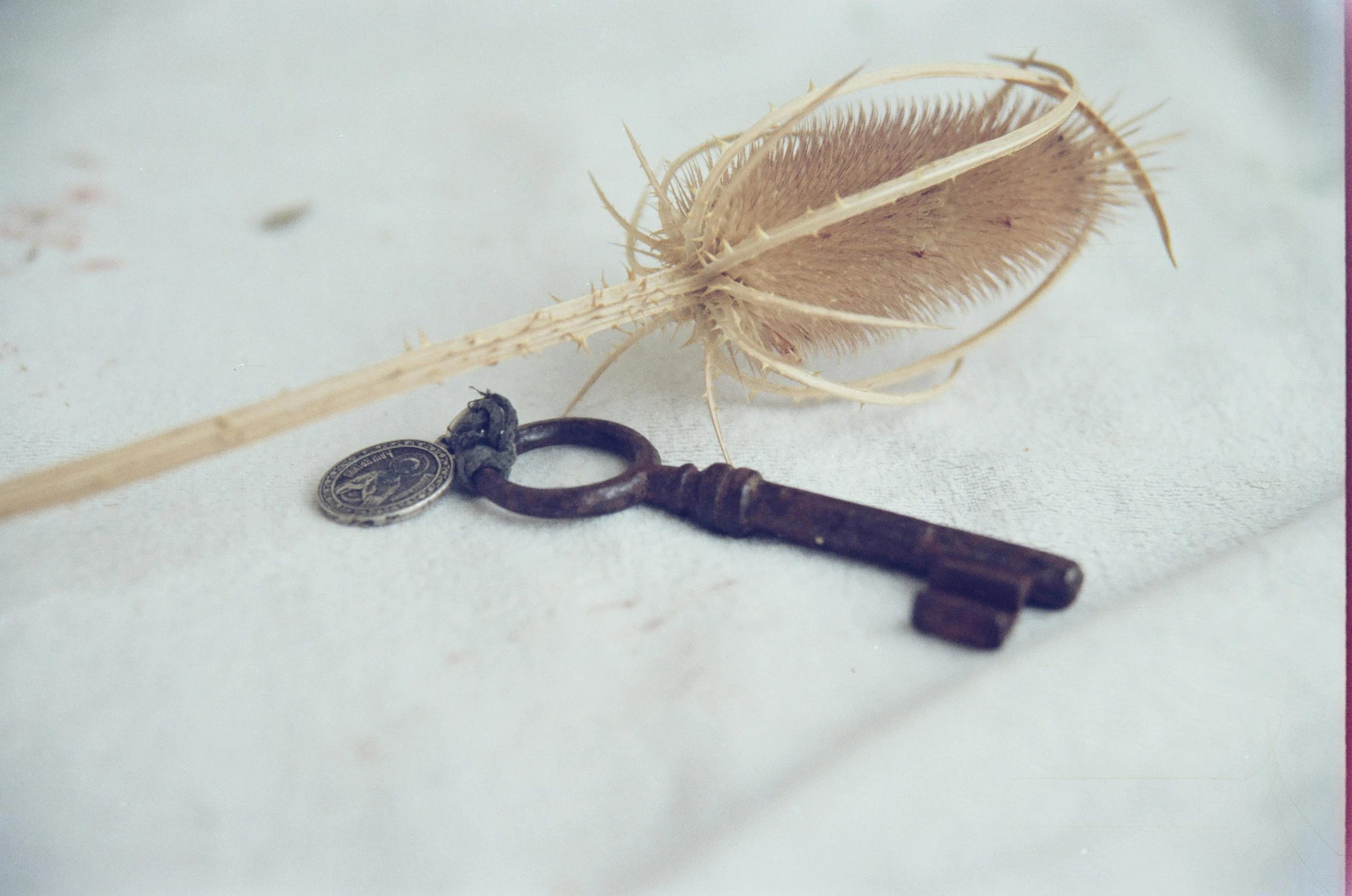 a broken old key is lying next to a dried feather