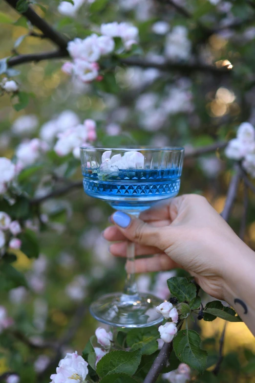 a hand holding a blue cocktail glass with blue liquid