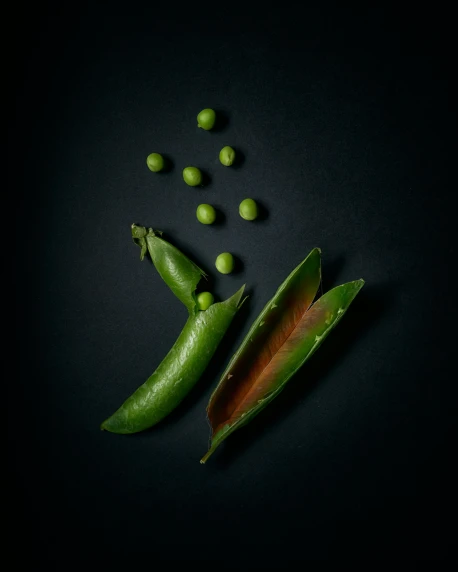 pea pods are spilling out from a pod to a smaller pea
