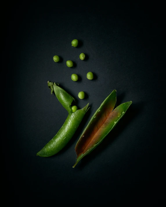 pea pods are spilling out from a pod to a smaller pea