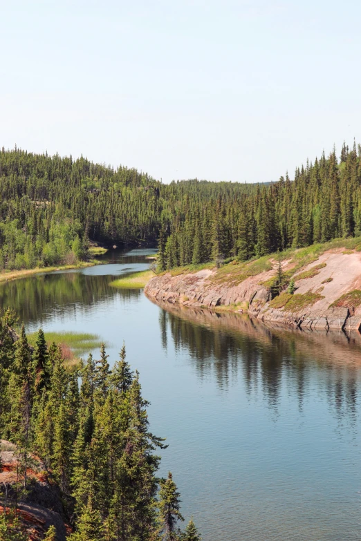 a river running next to a forest in the wilderness