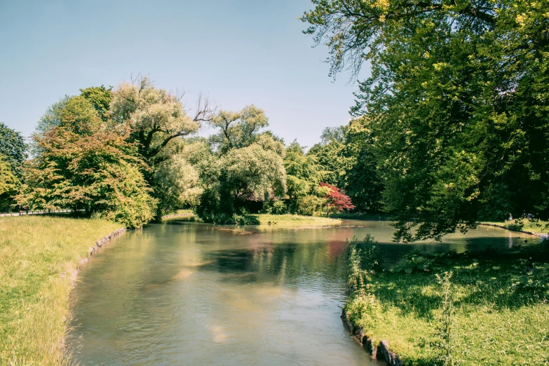 a narrow river runs through a wooded area