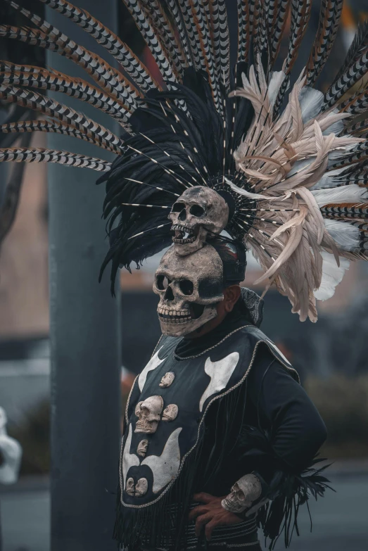 an image of a skeleton wearing a costume and feathers