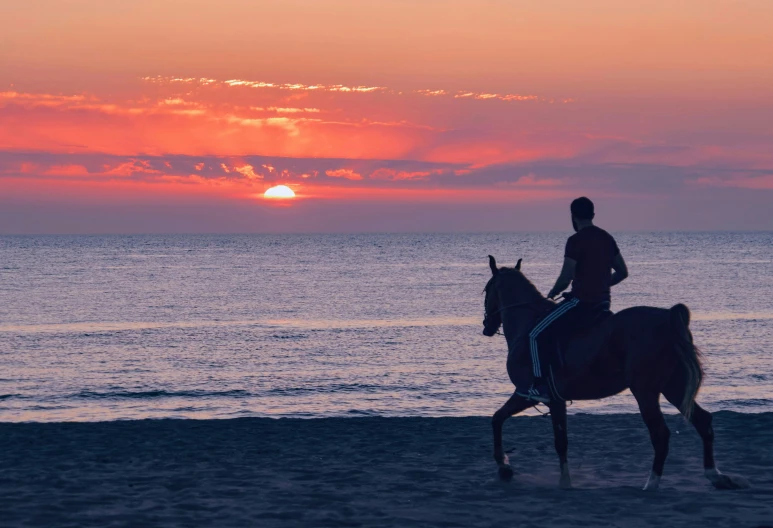 the sun sets over the ocean while a person rides a horse on the beach