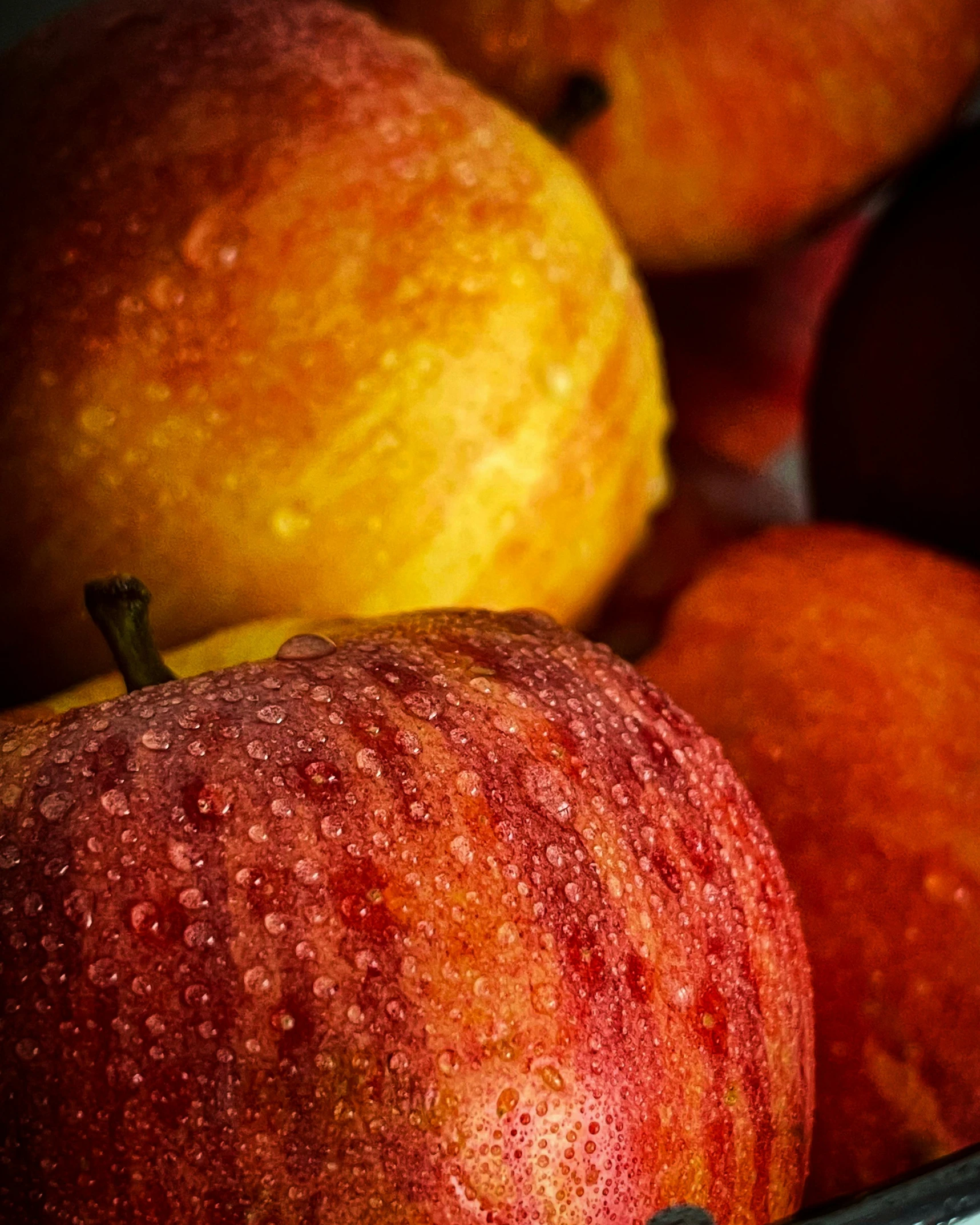 an apple sitting among some oranges and apples