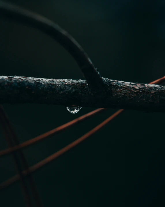 a close up view of water drops attached to a barbed wire fence