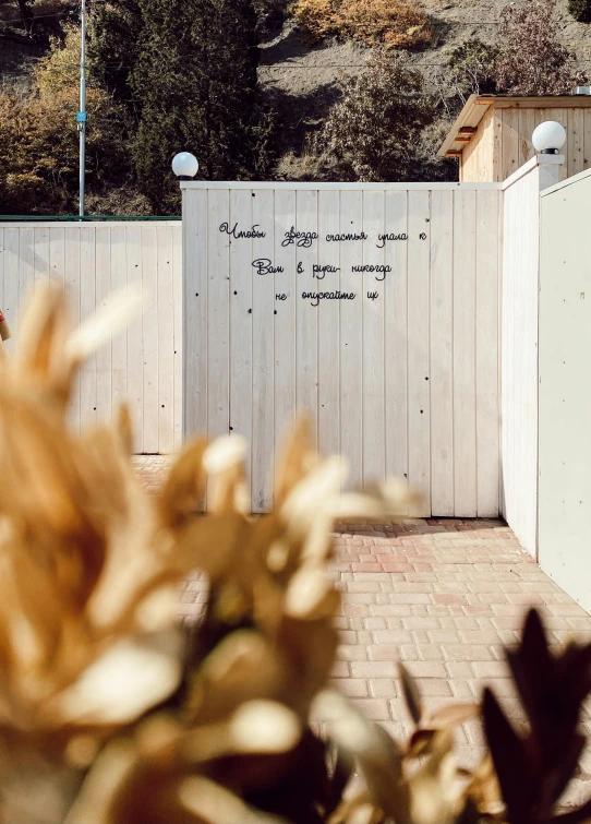 the door is closed and the back yard has a wooden fence