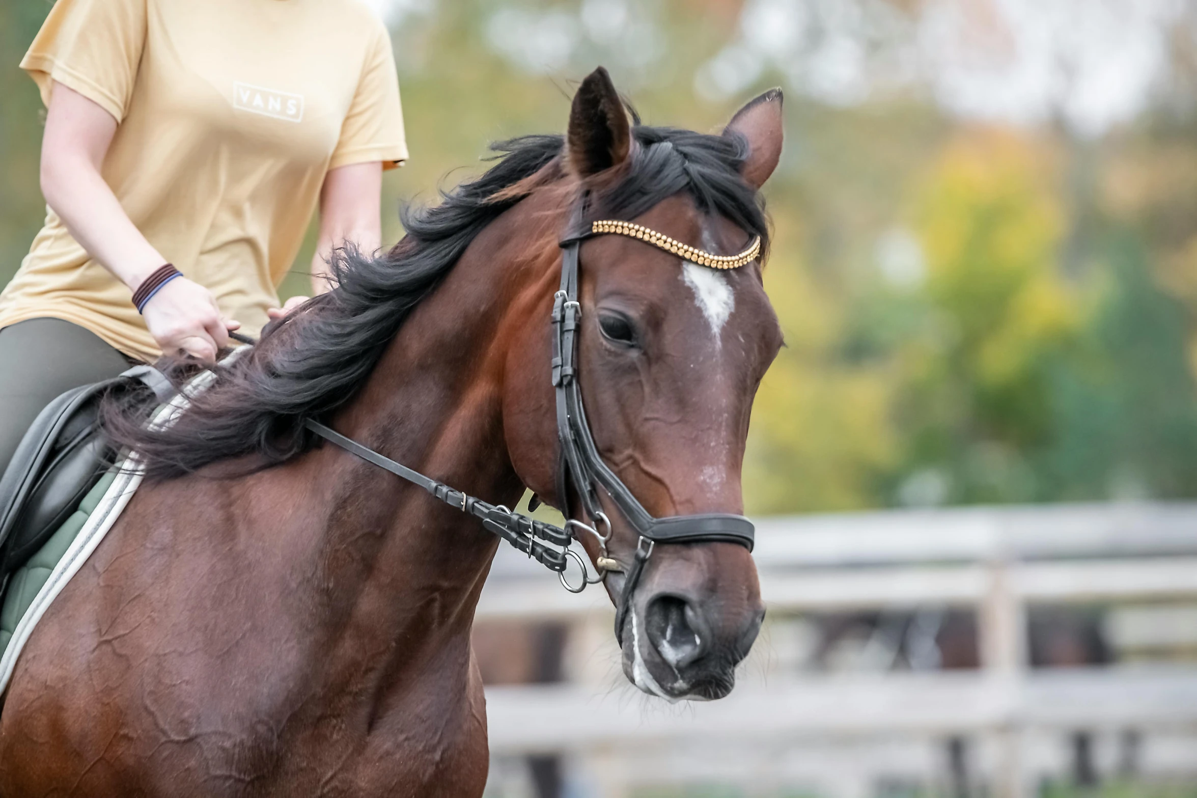 a person sitting on a horse that is wearing a gold chain