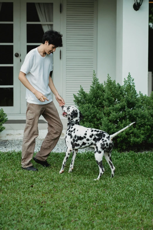 a man and a dog play in the yard