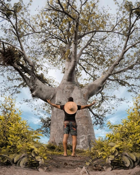 the man is standing under the large tree