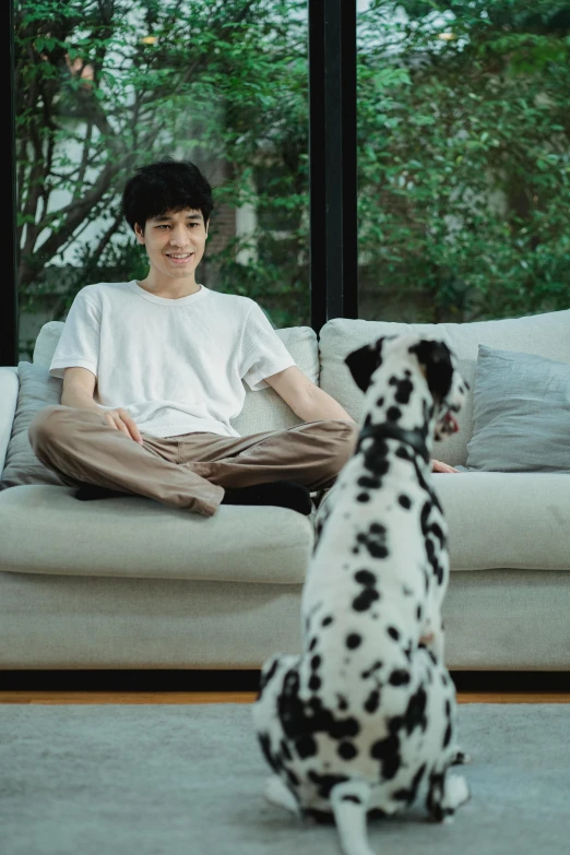a dog is sitting in front of a man that has a dalmatian dog