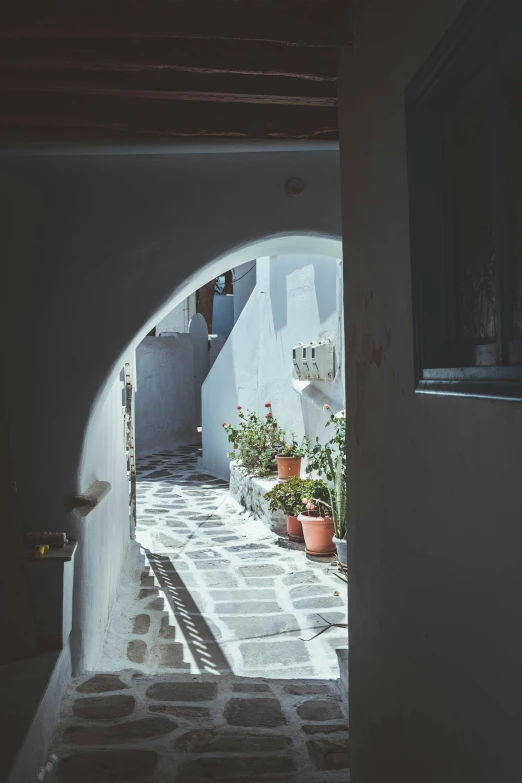 an alley way with small pots and plants