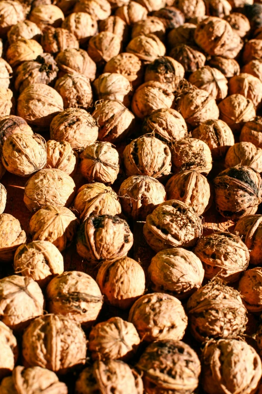 a pile of nuts sitting on top of a table