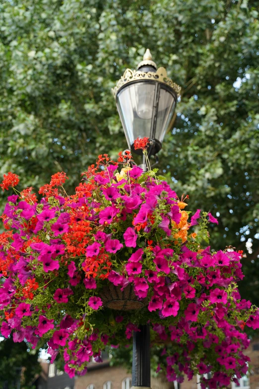 a lamp post with colorful flowers and a street light