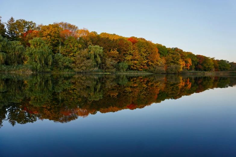 the view of trees and water with its reflection in it