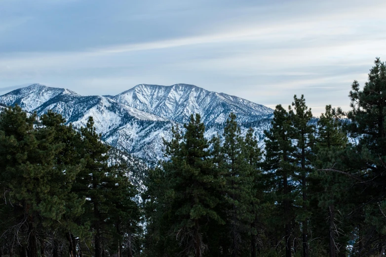 there are some trees in the foreground with mountains in the background