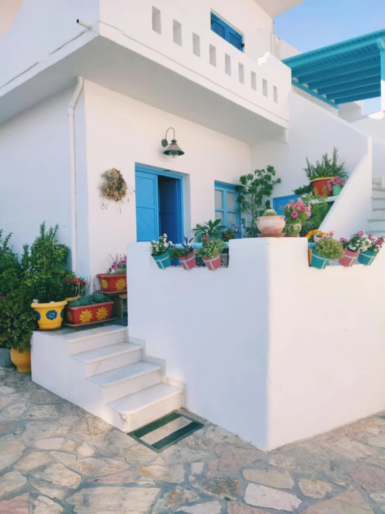 a small house with blue windows and potted plants on the stairs