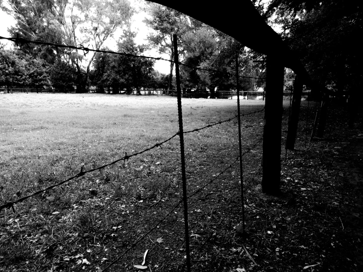 black and white po of a fence with grassy field in background