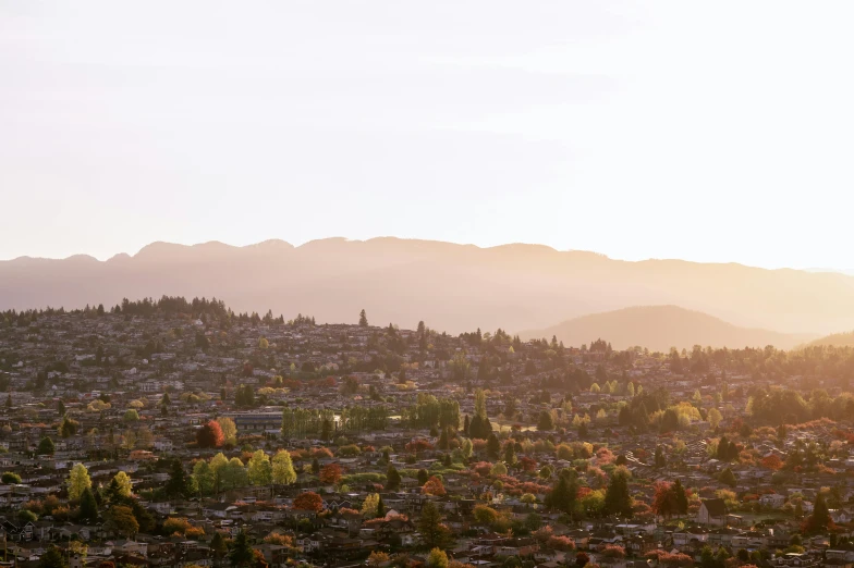 a city with mountains and trees on a sunny day