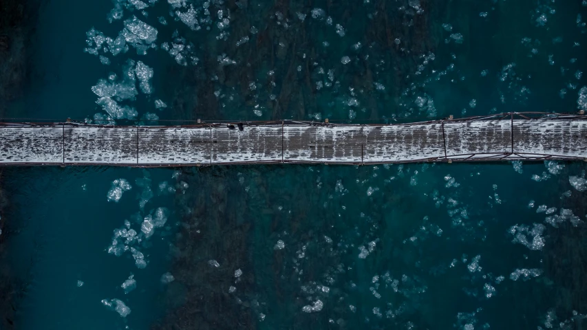 birds sit on a piece of wood over water