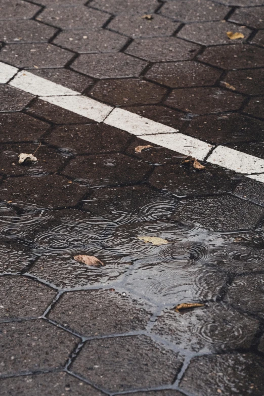 a wet road with dles on it, looking like they've stopped