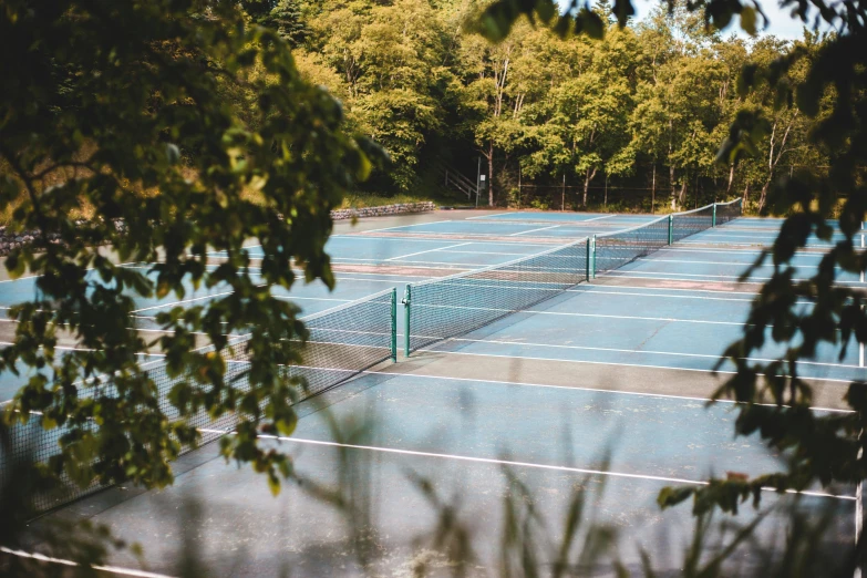 tennis courts surrounded by trees on a sunny day