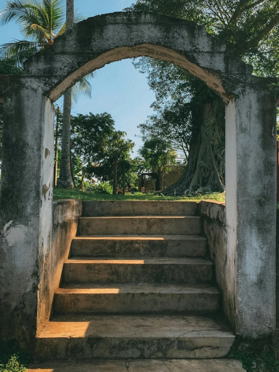 some steps going to some trees near by