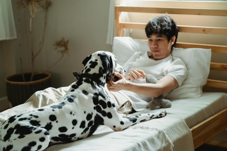 a man sitting on a bed petting a dalmation dog