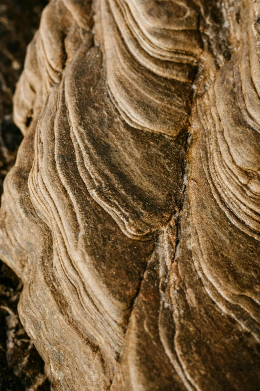 there is a strange rock formation with ridges of various shapes and sizes