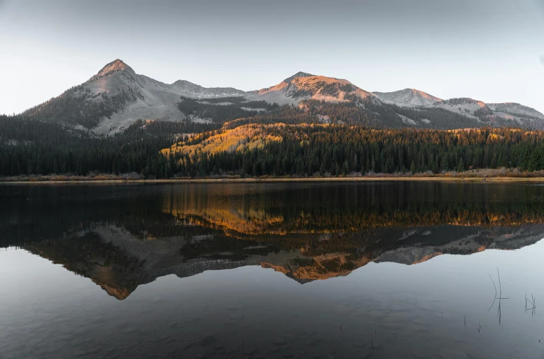 some trees in the mountains near a lake