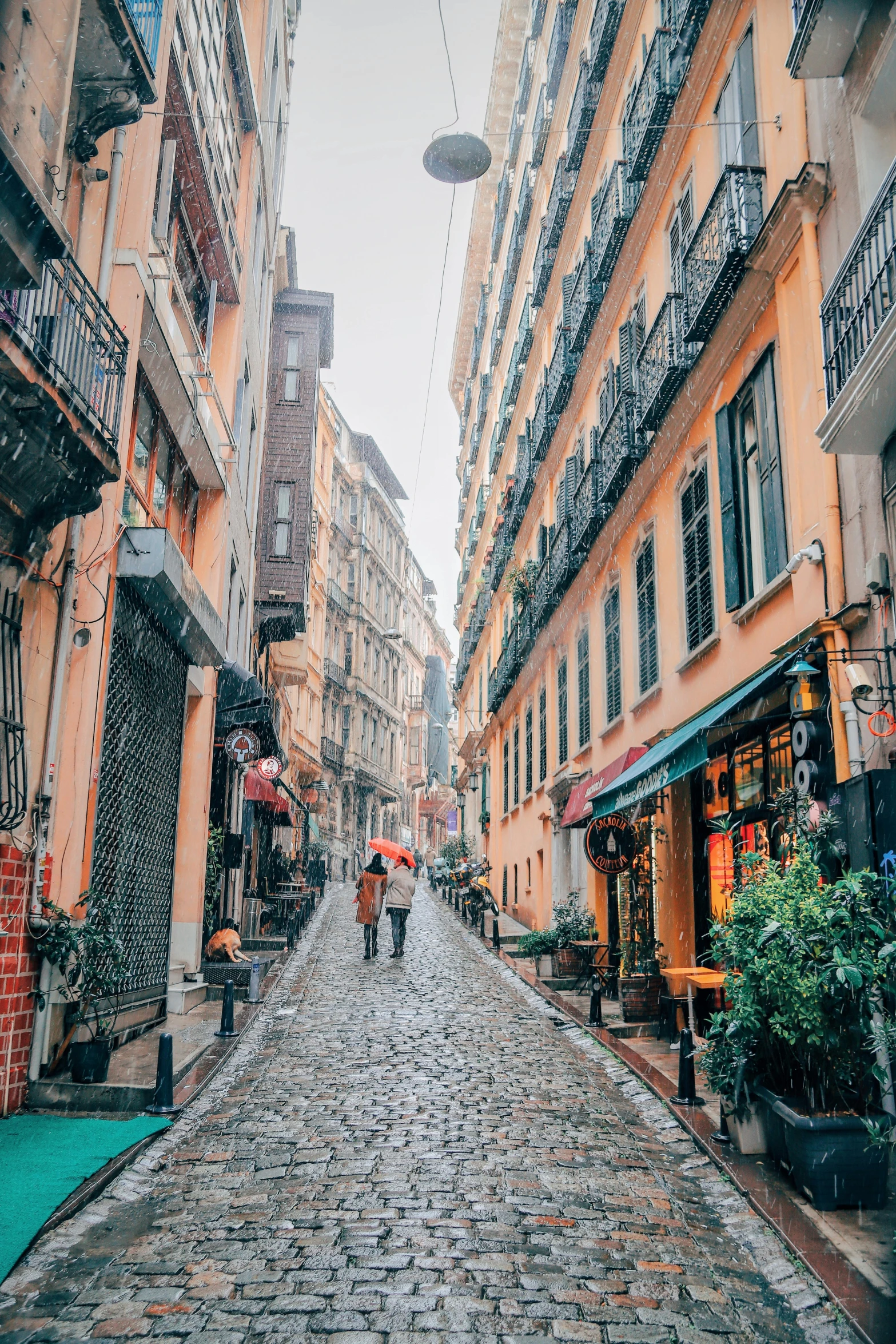 two people walk down the street carrying an umbrella