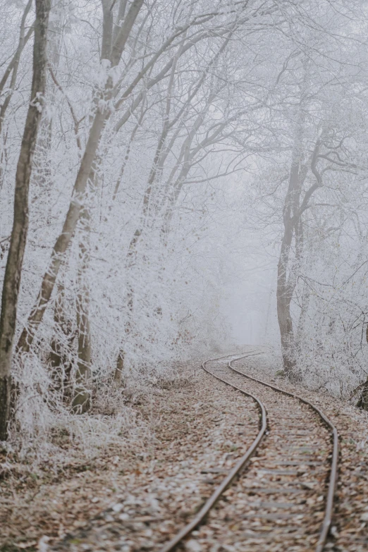 a foggy, barren landscape with train tracks