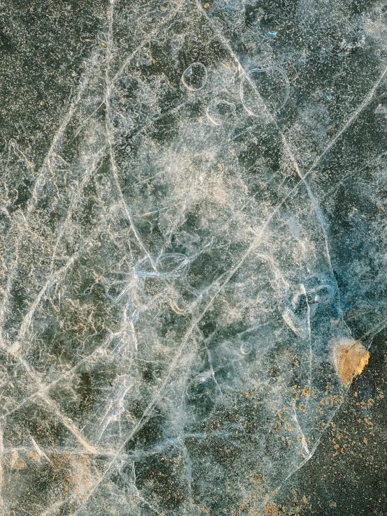 the frozen surface looks like it could be on a skateboard